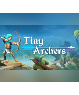 Tiny Archers VR Steam Key GLOBAL